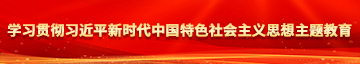 操操操操在线视频学习贯彻习近平新时代中国特色社会主义思想主题教育