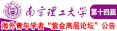 在线肏南京理工大学第十四届海外青年学者紫金论坛诚邀海内外英才！